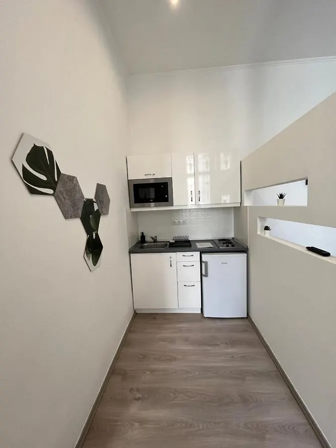 D58 Delux Apartments In The City Center Budapest 0*,